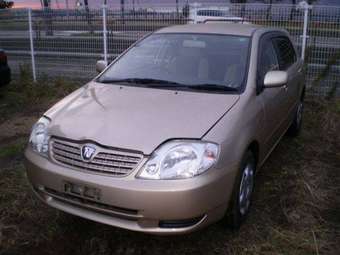 2002 Toyota Allex Photos