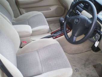 2002 Toyota Allex Pictures