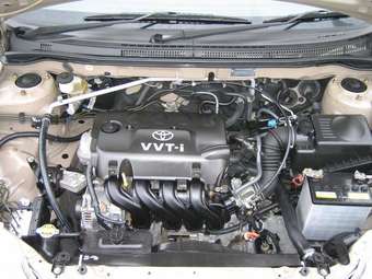 2002 Toyota Allex Pictures