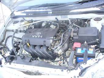 2002 Toyota Allex Pictures