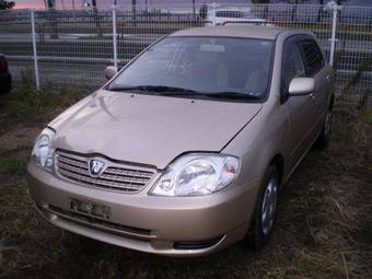 2002 Toyota Allex Pics