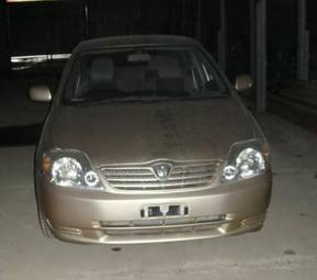 2002 Toyota Allex Photos