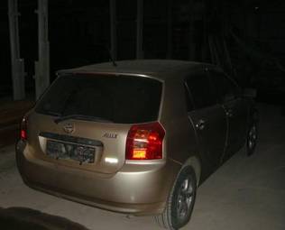 2002 Toyota Allex Pictures