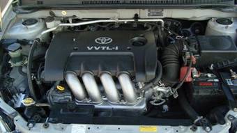 2002 Toyota Allex Photos