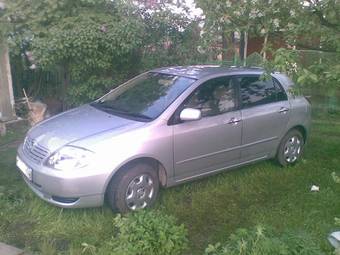 2002 Toyota Allex Pictures