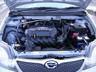 2002 Toyota Allex Photos