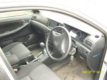 2002 Toyota Allex Pictures