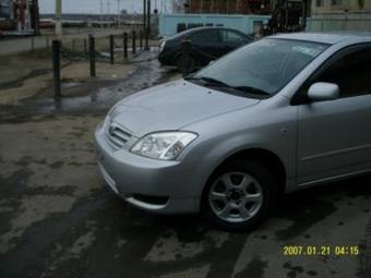 2002 Toyota Allex Pictures