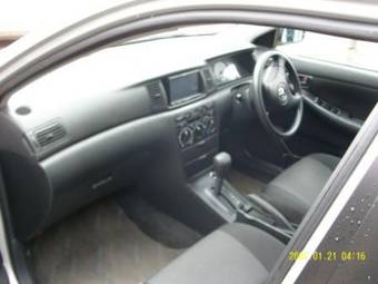2002 Toyota Allex Pictures