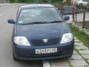 2002 Toyota Allex Images