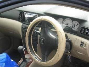 2002 Toyota Allex Pictures