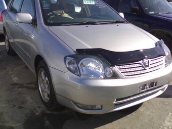 2002 Toyota Allex Pictures