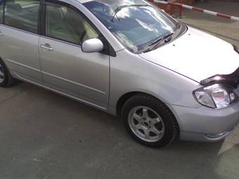 2002 Toyota Allex Pictures