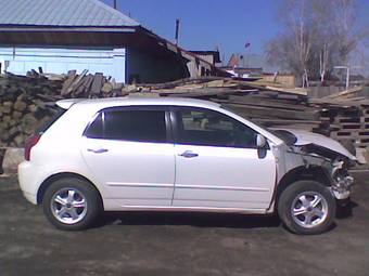 2002 Toyota Allex Pictures
