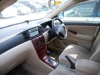 2002 Toyota Allex Pictures