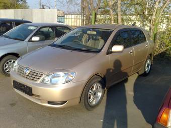 2002 Toyota Allex For Sale