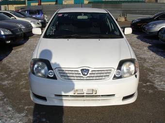 2002 Toyota Allex Pictures
