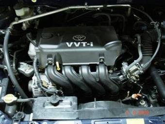 2002 Toyota Allex Photos