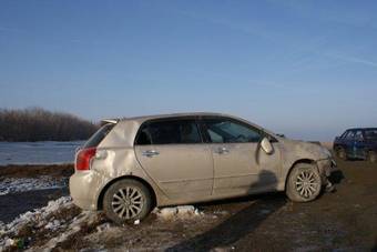 2002 Toyota Allex Pictures