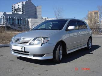 2002 Toyota Allex Pictures