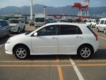 2002 Toyota Allex Pictures