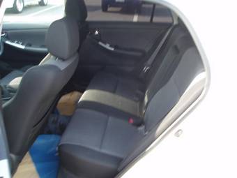2002 Toyota Allex Pictures