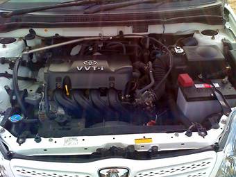 2002 Toyota Allex Pictures
