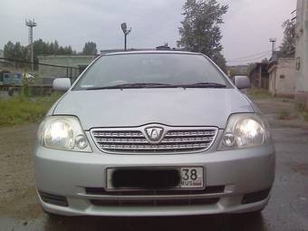 2002 Toyota Allex Pictures