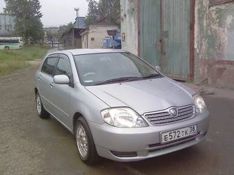 2002 Toyota Allex Pictures