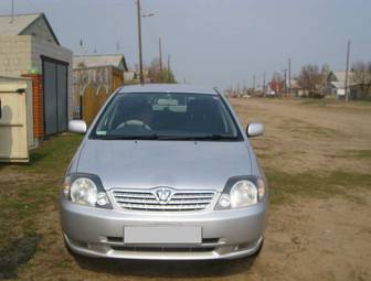 2002 Toyota Allex Pictures