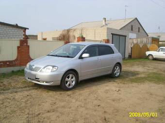 2002 Toyota Allex Pictures