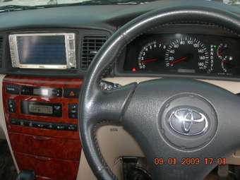 2003 Toyota Allex Photos