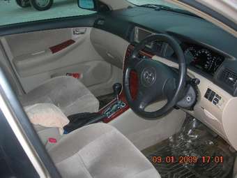 2003 Toyota Allex Pictures