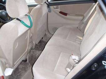 2003 Toyota Allex Pictures