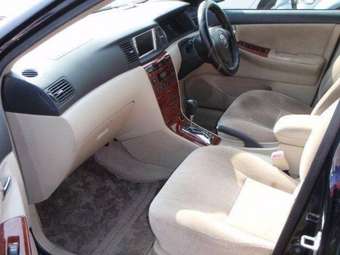 2003 Toyota Allex Photos