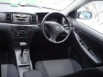 2003 Toyota Allex Pictures