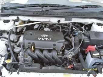 2003 Toyota Allex Pictures