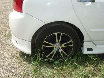 2003 Toyota Allex Pictures