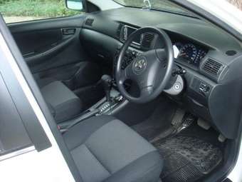 2003 Toyota Allex Pictures