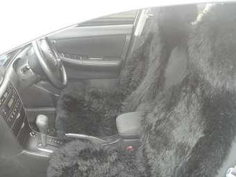 2003 Toyota Allex Pics