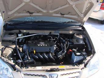 2003 Toyota Allex Pictures