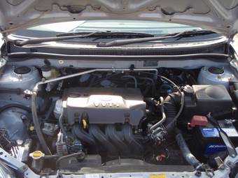 2003 Toyota Allex Pictures