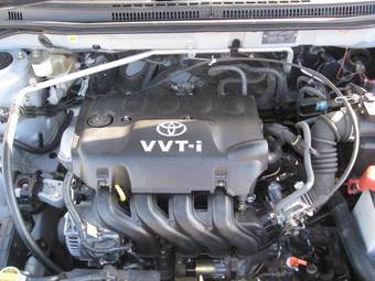 2003 Toyota Allex Pictures