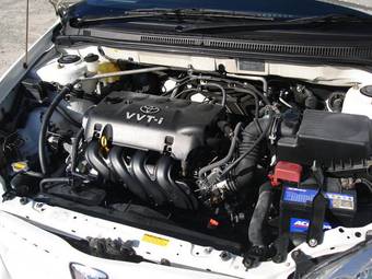 2003 Toyota Allex Images