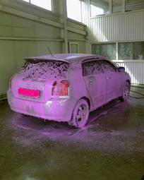 2003 Toyota Allex Pictures