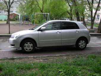 2003 Toyota Allex Pictures