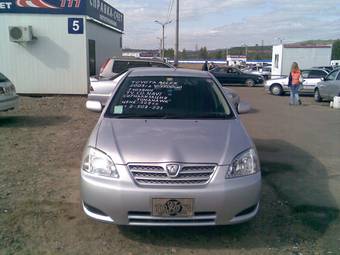 2003 Toyota Allex Pictures