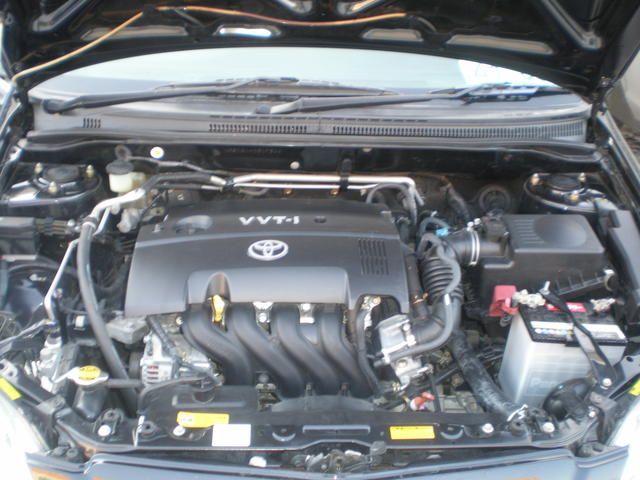 2004 Toyota Allex