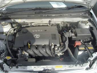 2004 Toyota Allex Pictures