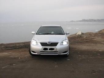 2004 Toyota Allex Pictures